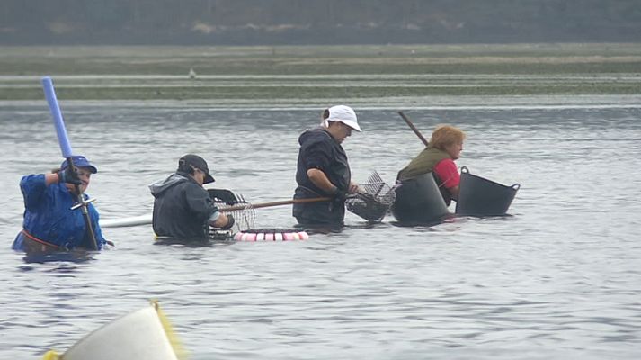 Repor - Repor - La mar de mujeres