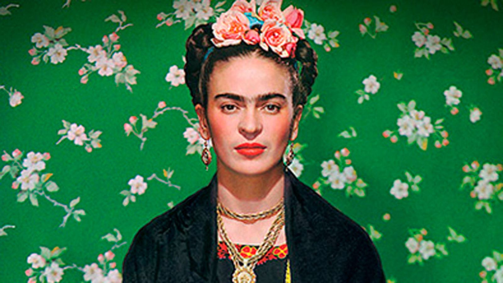 'Frida, viva la vida'
