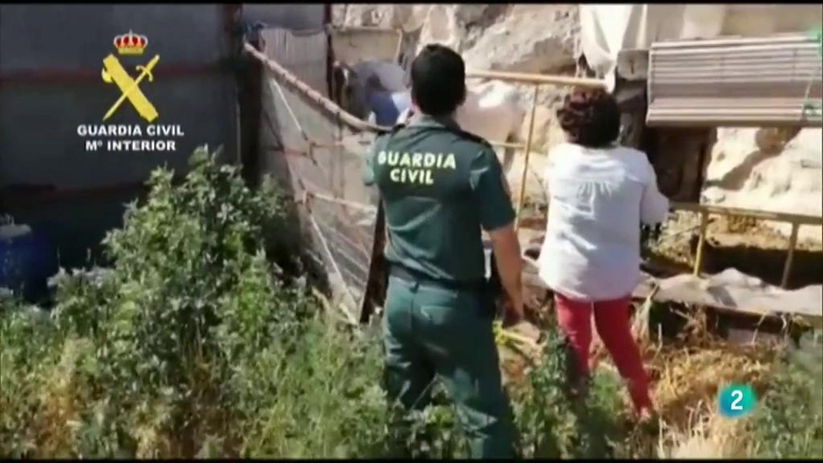 En primer plano, Fundación caballos