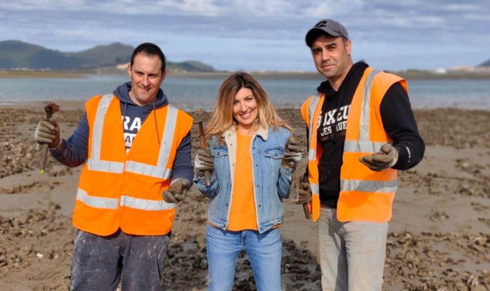 ¿Cuándo se recogen las ostras?