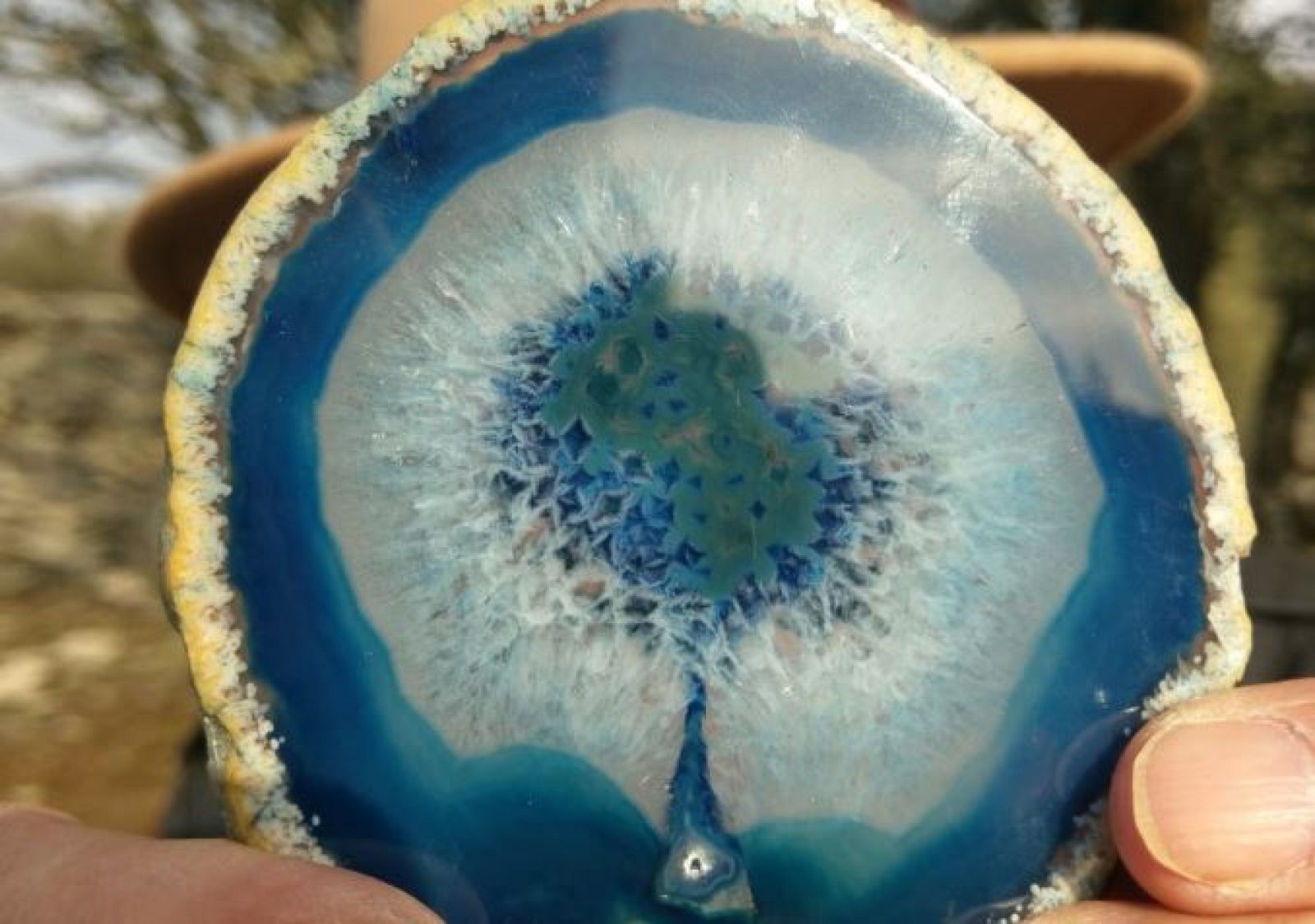 Juan Plantas y el reino mineral