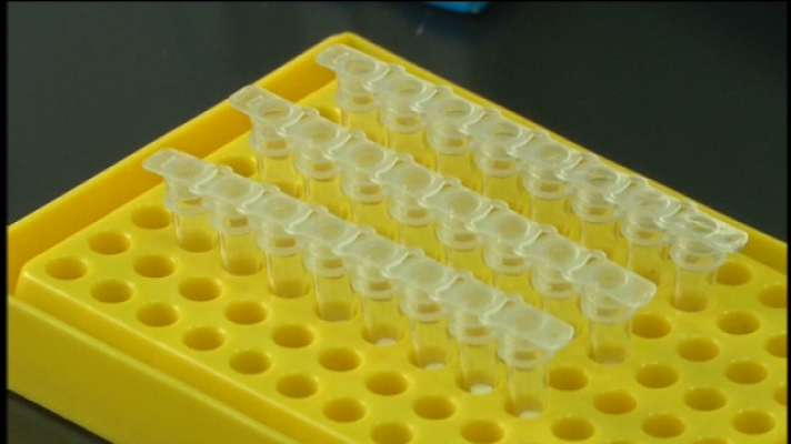 Telecanarias - Telecanarias 2 - 09/03/2020