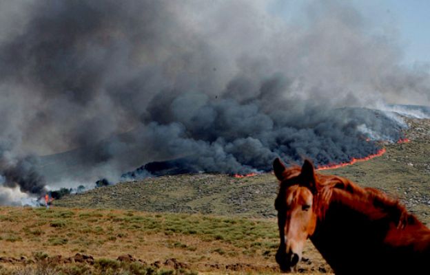 Telediario 1 - Telediario en 4' - 30/07/09