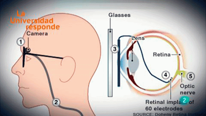 La aventura del Saber - ¿Puede la cámara de fotos sustituir al ojo humano?