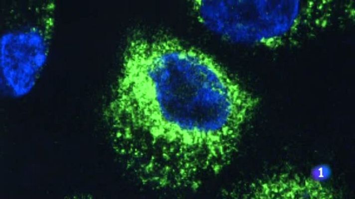 Noticias Aragón - Aragón en 2'- 11/03/2020