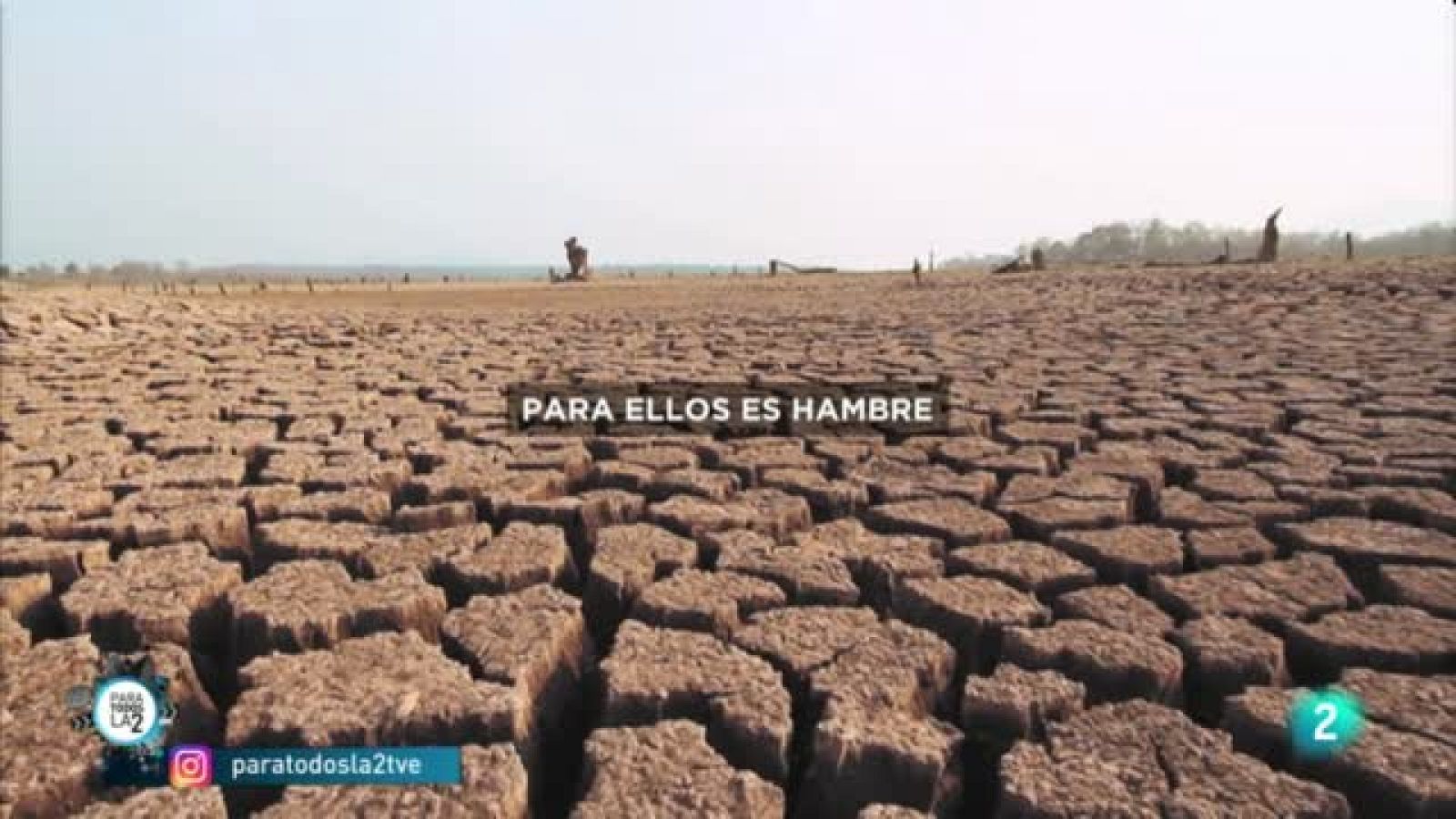 Manos Unidas y su campaña contra el cambio climático