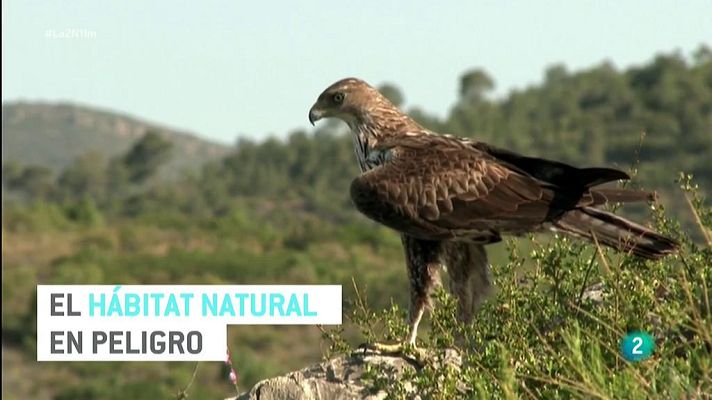 La 2 Noticias - El hábitat natural en peligro