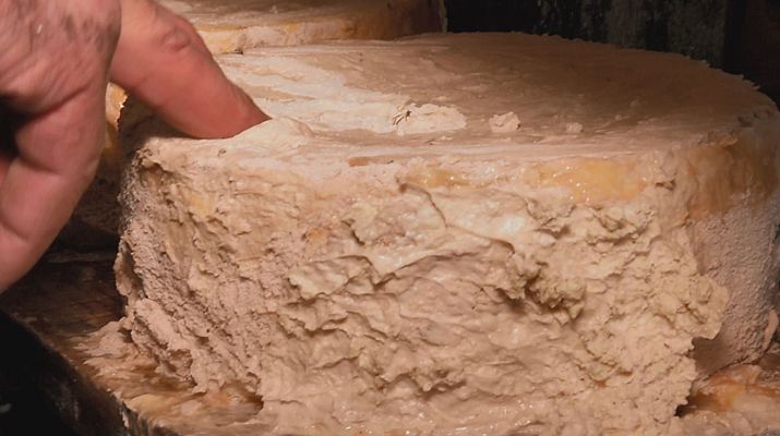 Aquí la Tierra - El queso cabrales, al abrigo de una cueva