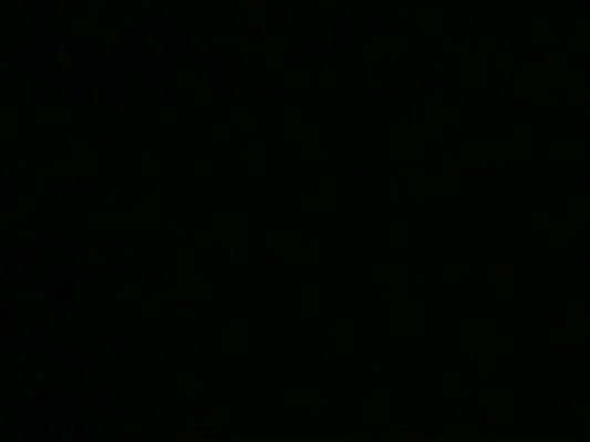 Telenavarra - Telenavarra - 13/3/2020