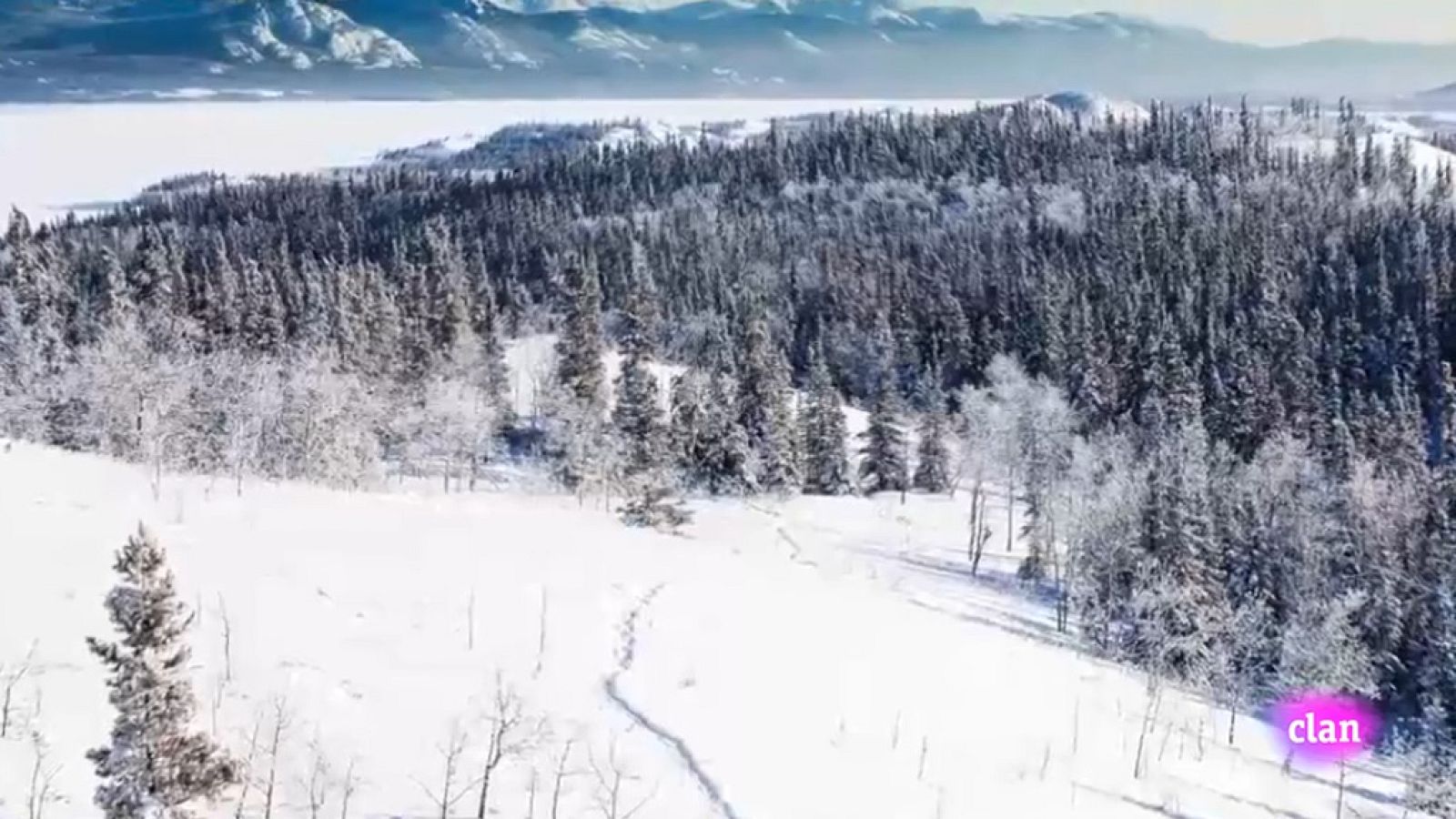 CIENCIAS NATURALES - El invierno - EduClan 3 a 5 años | Ver