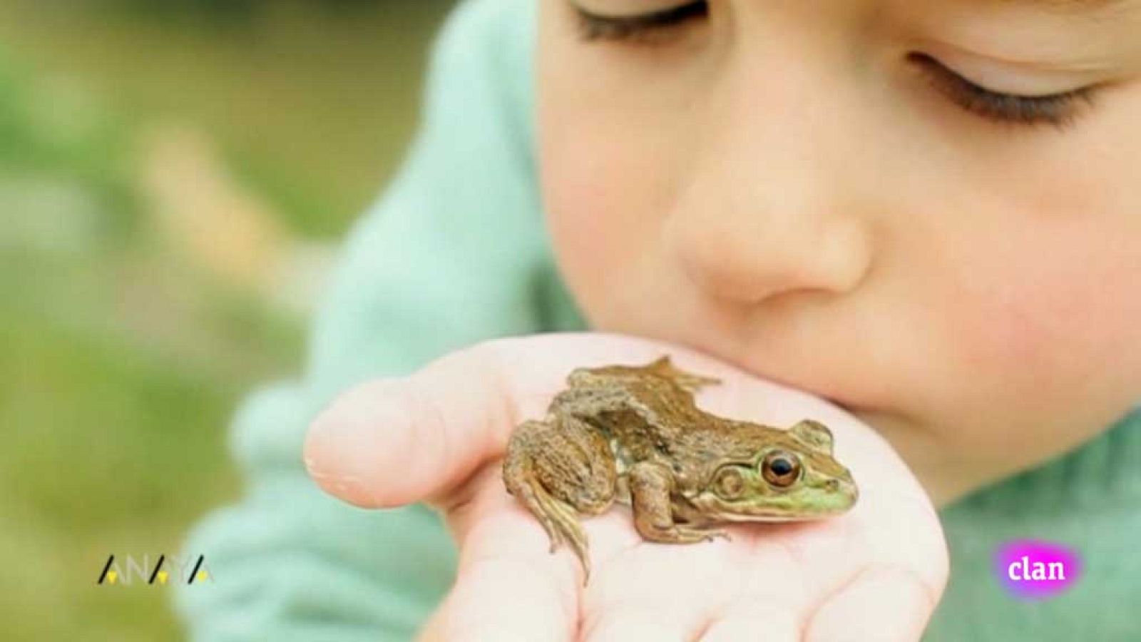 CIENCIAS NATURALES - Anfibios - EduClan 6 a 8 años | Ver
