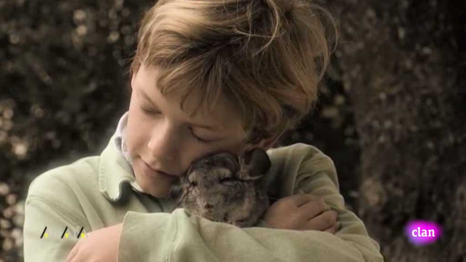 CIENCIAS NATURALES - Mamíferos - EduClan 6 a 8 años | Ver