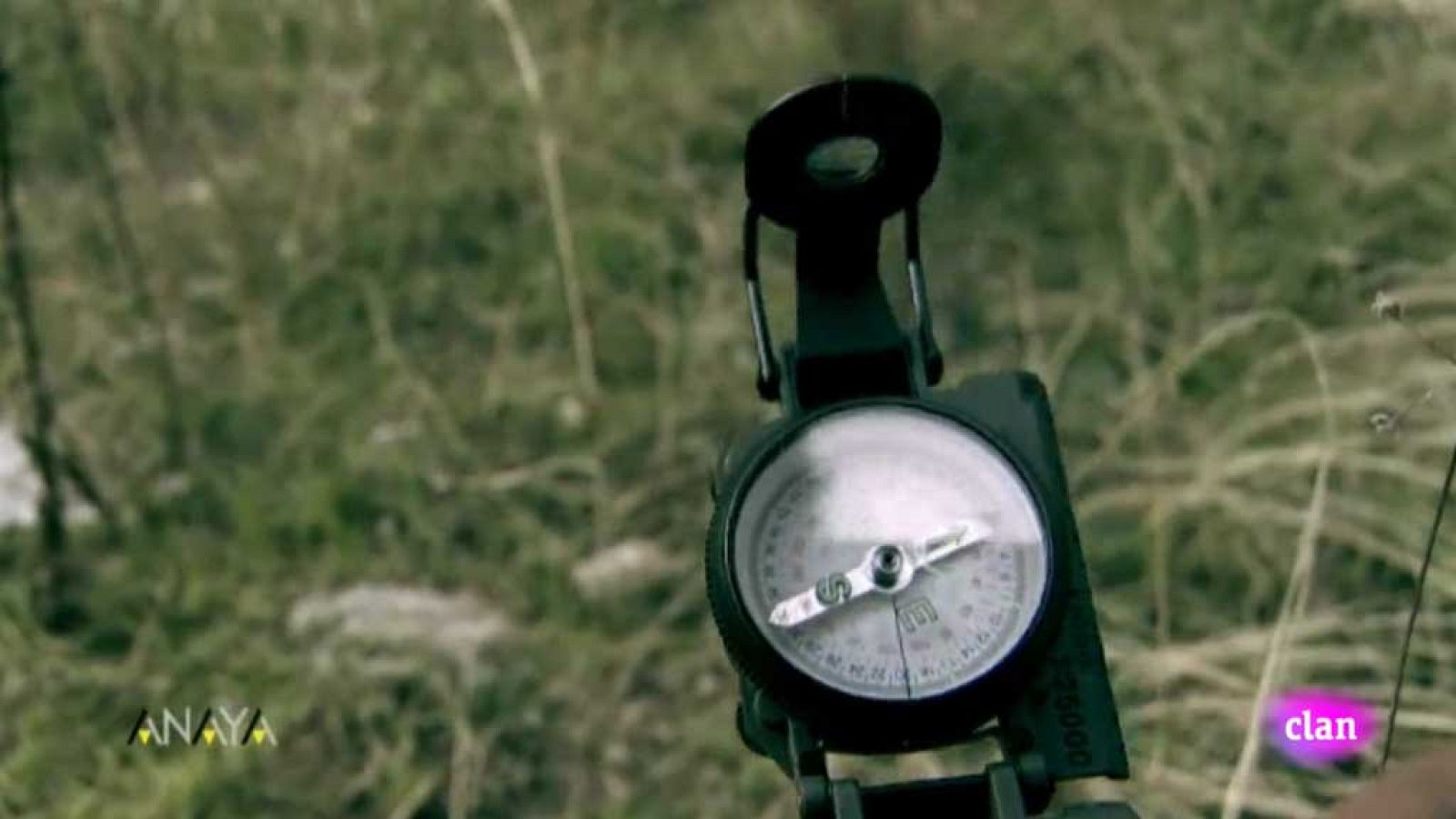 CIENCIAS NATURALES - Orientación. - EduClan 9 a 10 años | Ver