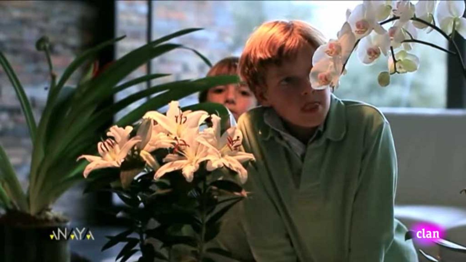 CIENCIAS NATURALES - Plantas curiosas - EduClan 6 a 8 años | Ver