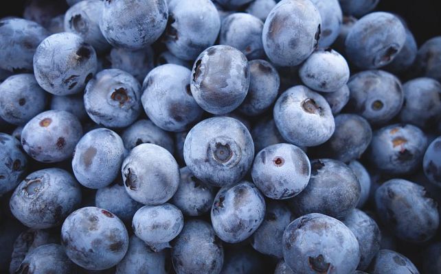 Aquí la Tierra - ¿Cómo ayuda la alimentación a los sistemas del cuerpo humano