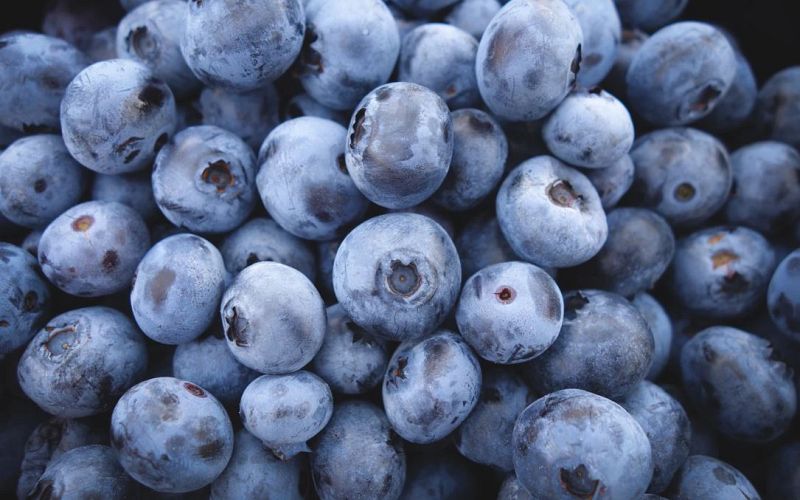 ¿Cómo ayuda la alimentación a los sistemas del cuerpo humano?