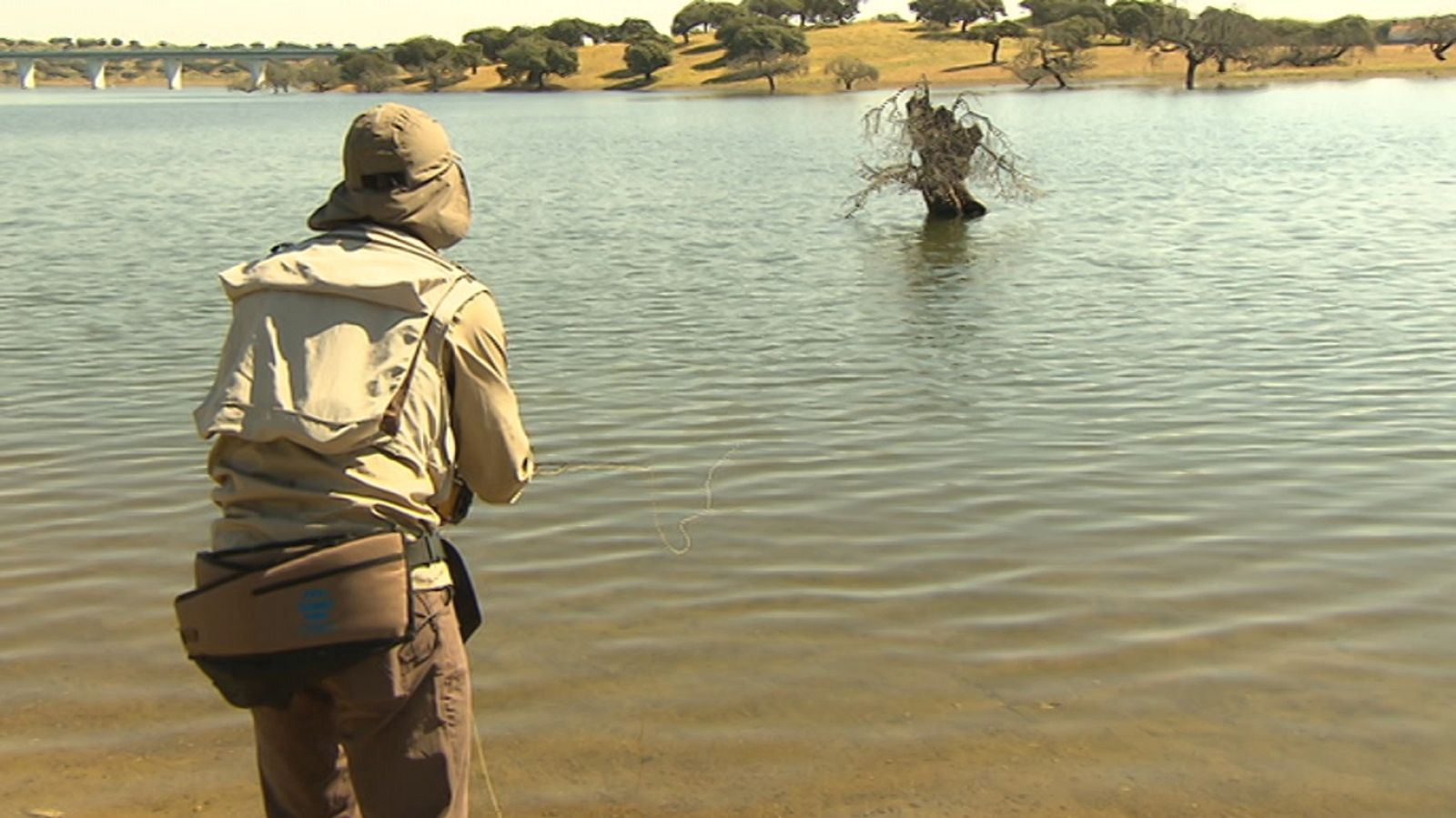 Jara y sedal - Carpas al rececho - ver ahora