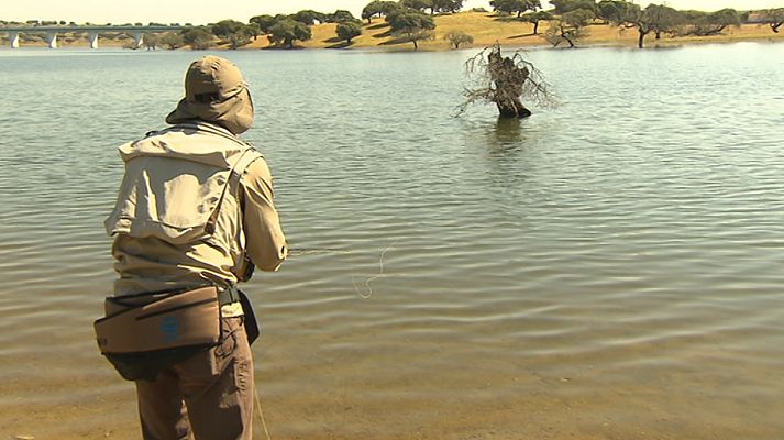 Jara y sedal - Carpas al rececho