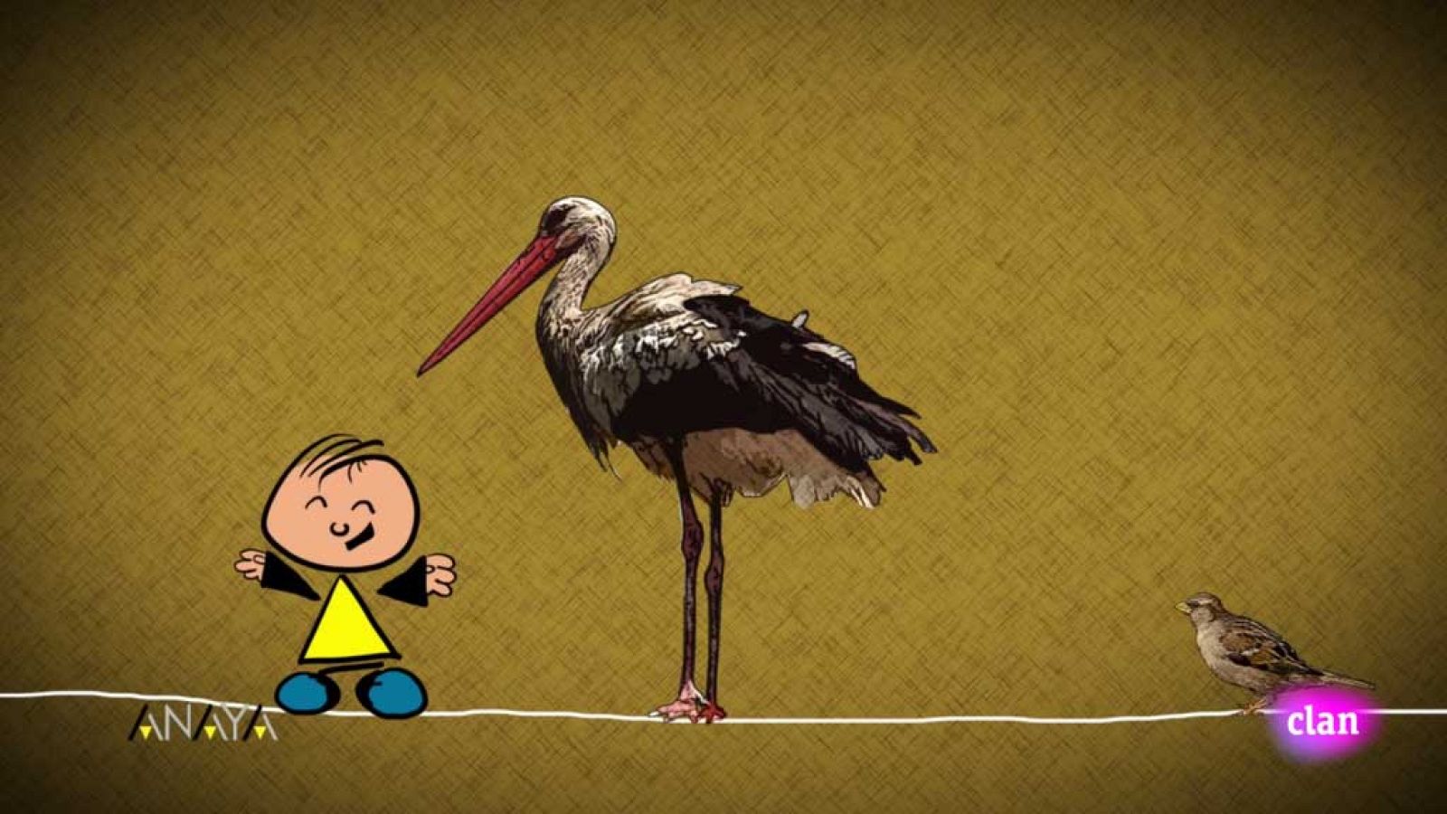 LÓGICA Y MATEMÁTICAS - Largo y corto - EduClan 3 a 5 años | Ver