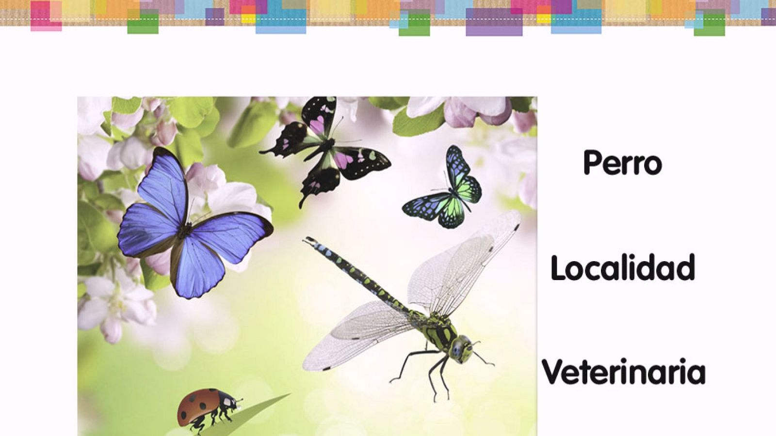 LENGUA - Los nombres comunes y propios - EduClan 6 a 8 años | Ver