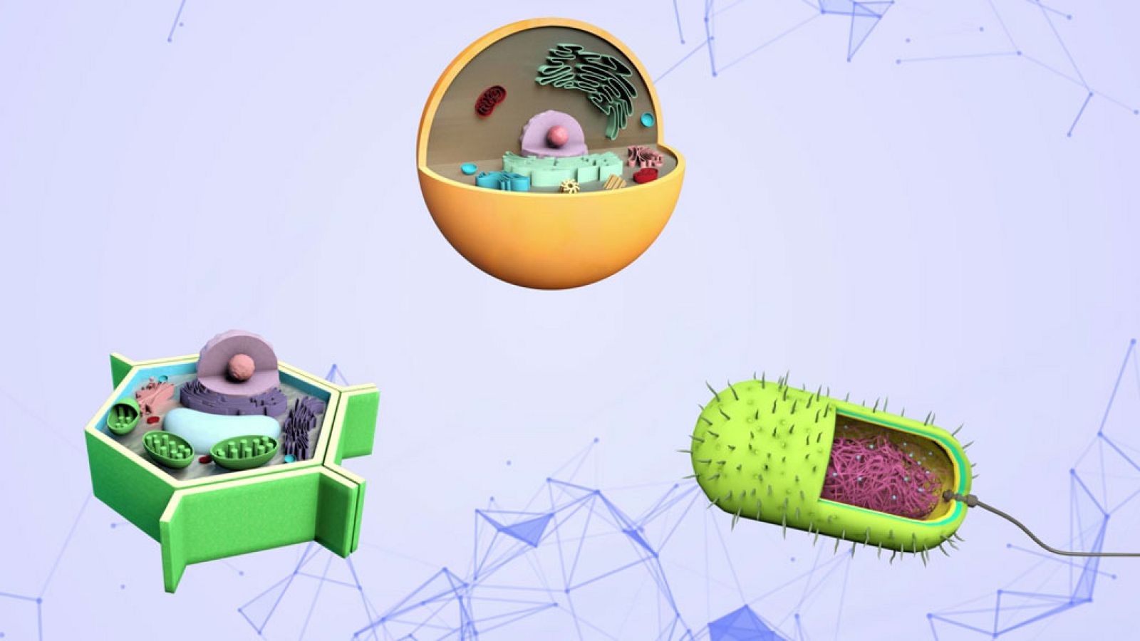 CIENCIAS NATURALES - La c��lula - EduClan 9 a 10 años | Ver