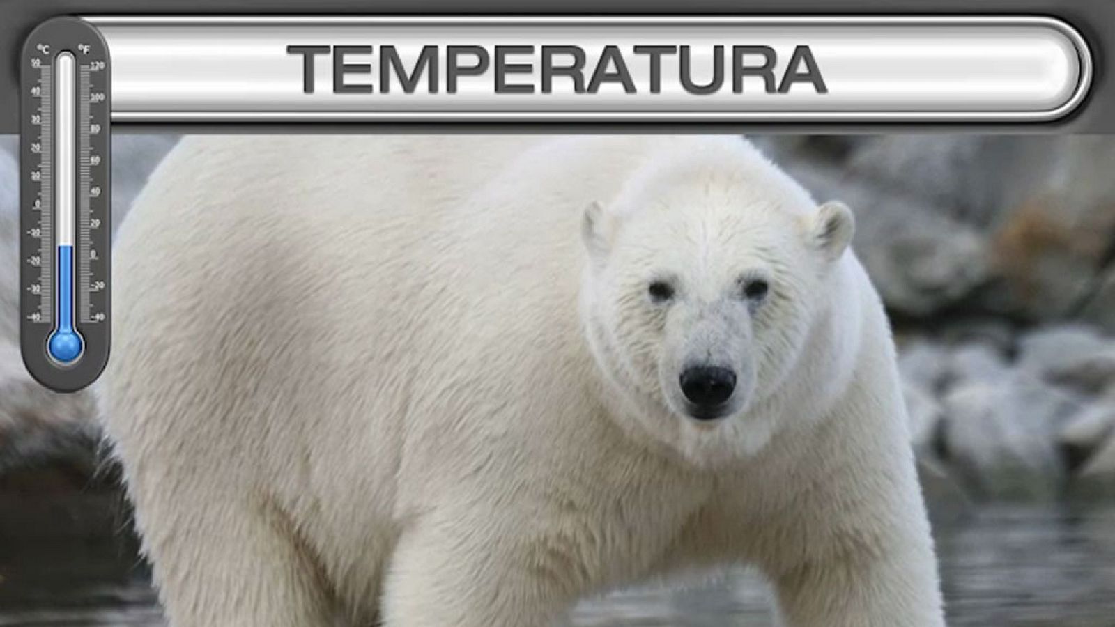 CIENCIAS NATURALES - Los Ecosistemas: adaptaciones al medio físico - EduClan 9 a 10 años | Ver