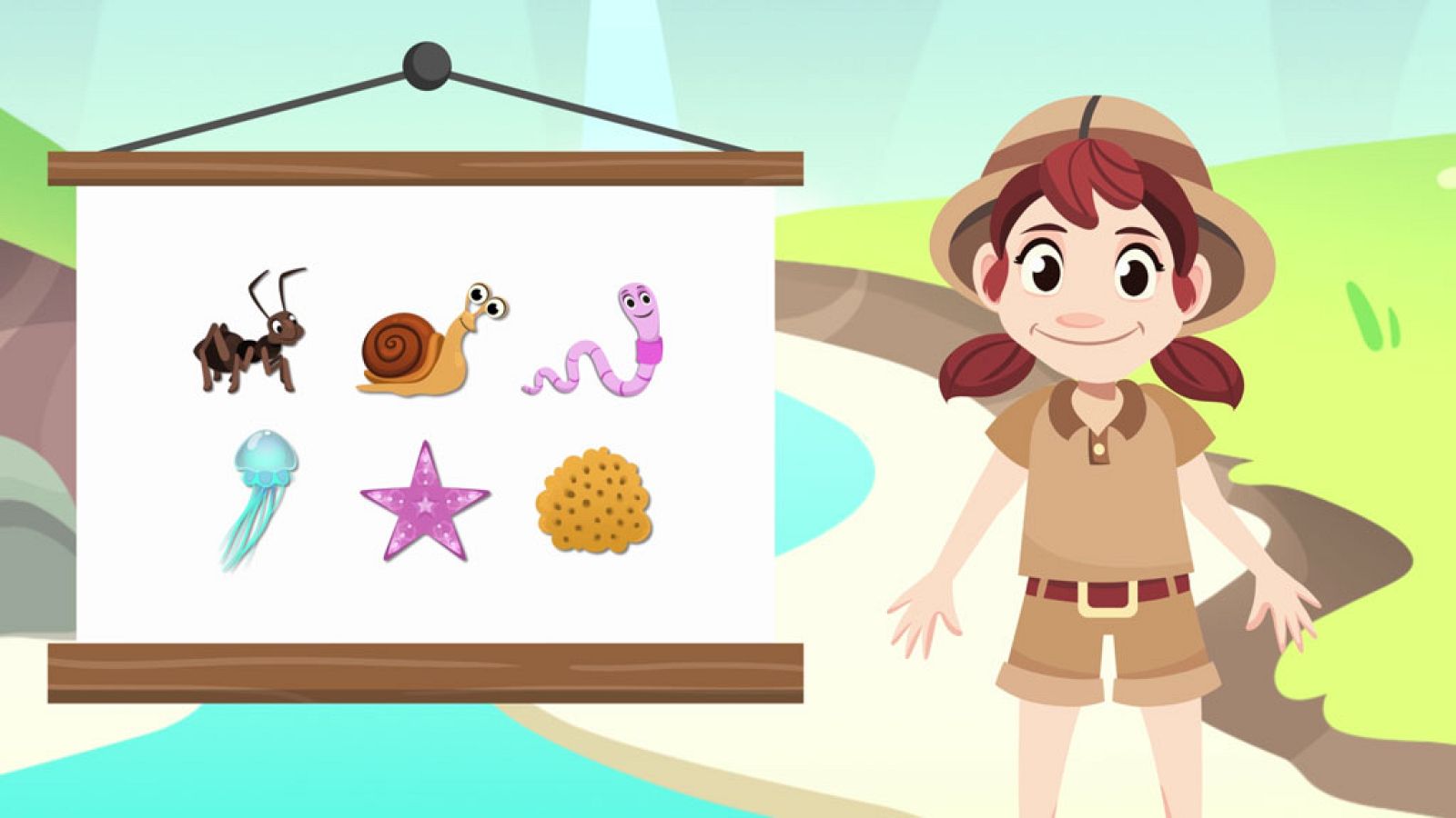 CIENCIAS NATURALES - Los invertebrados - EduClan 3 a 5 años | Ver