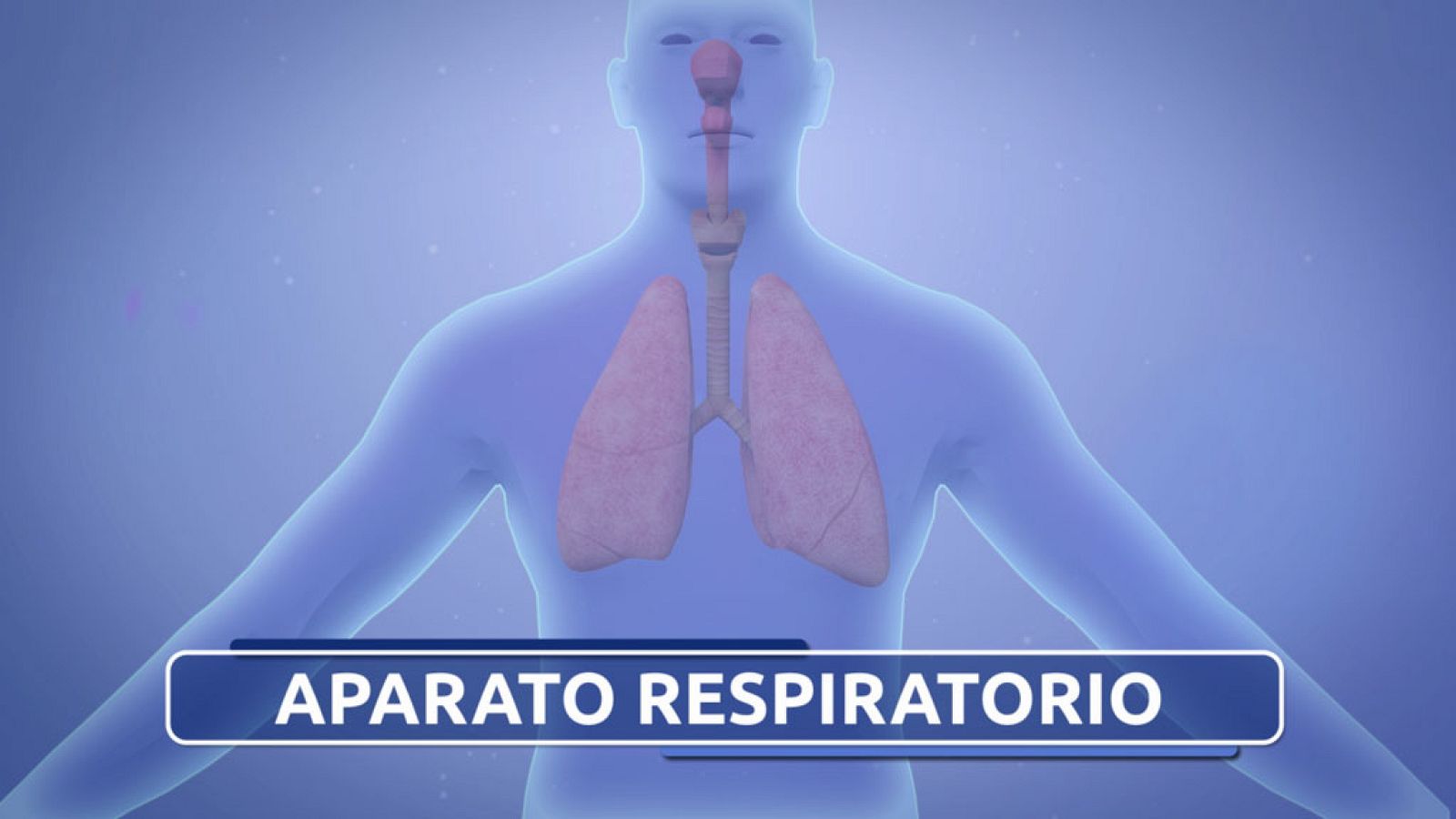 CIENCIAS NATURALES - El Sistema Respiratorio - EduClan 9 a 10 años | Ver
