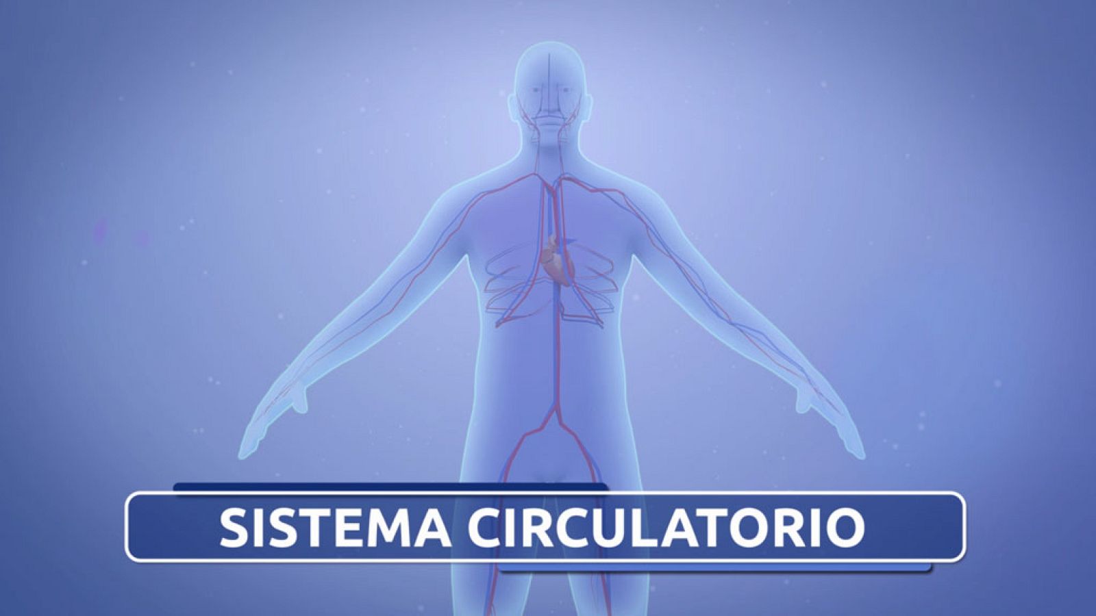 CIENCIAS NATURALES - El Sistema Circulatorio - EduClan 9 a 10 años | Ver