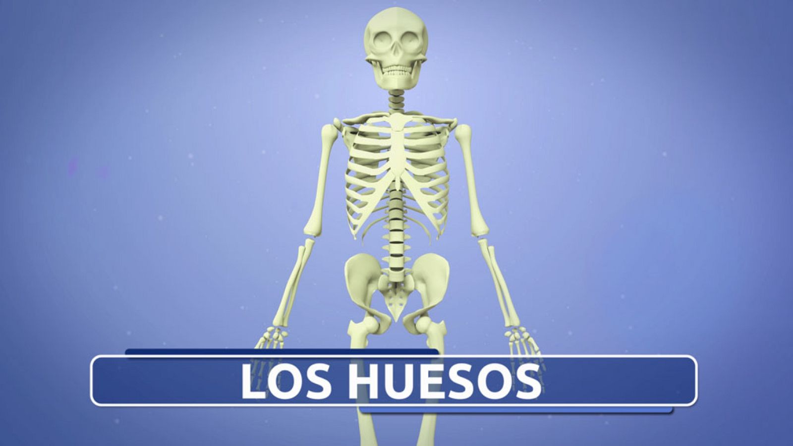 CIENCIAS NATURALES - El Sistema Óseo - EduClan 9 a 10 años | Ver