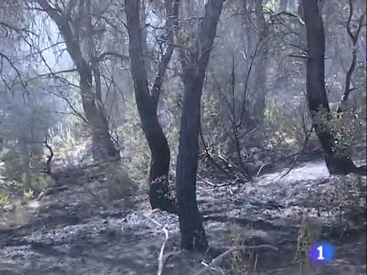 Noticias Aragón - Noticias Aragón - 30/07/09