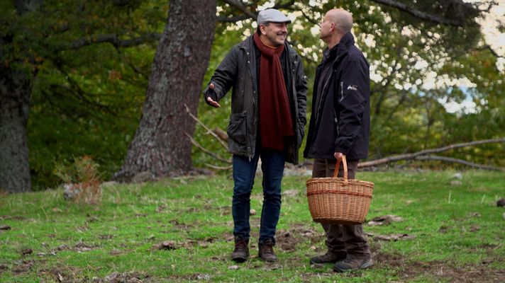El señor de los bosques - Piedralaves (Ávila)