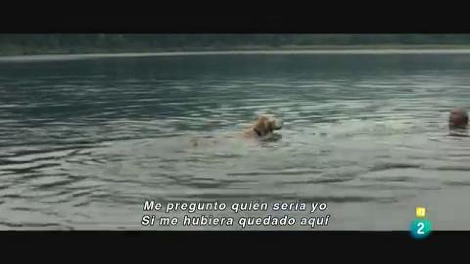 'Y llovieron pájaros'