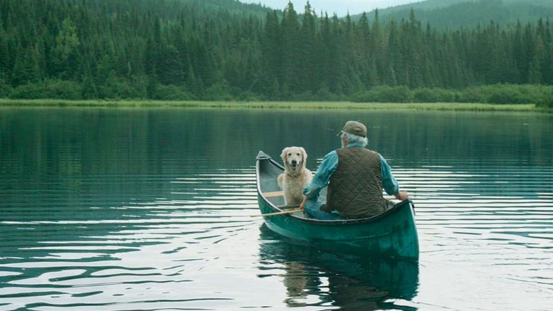 'Y llovieron pájaros'