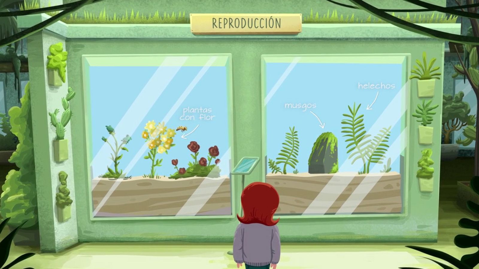 CIENCIAS NATURALES - La clasificación de las plantas - EduClan 9 a 10 años | Ver