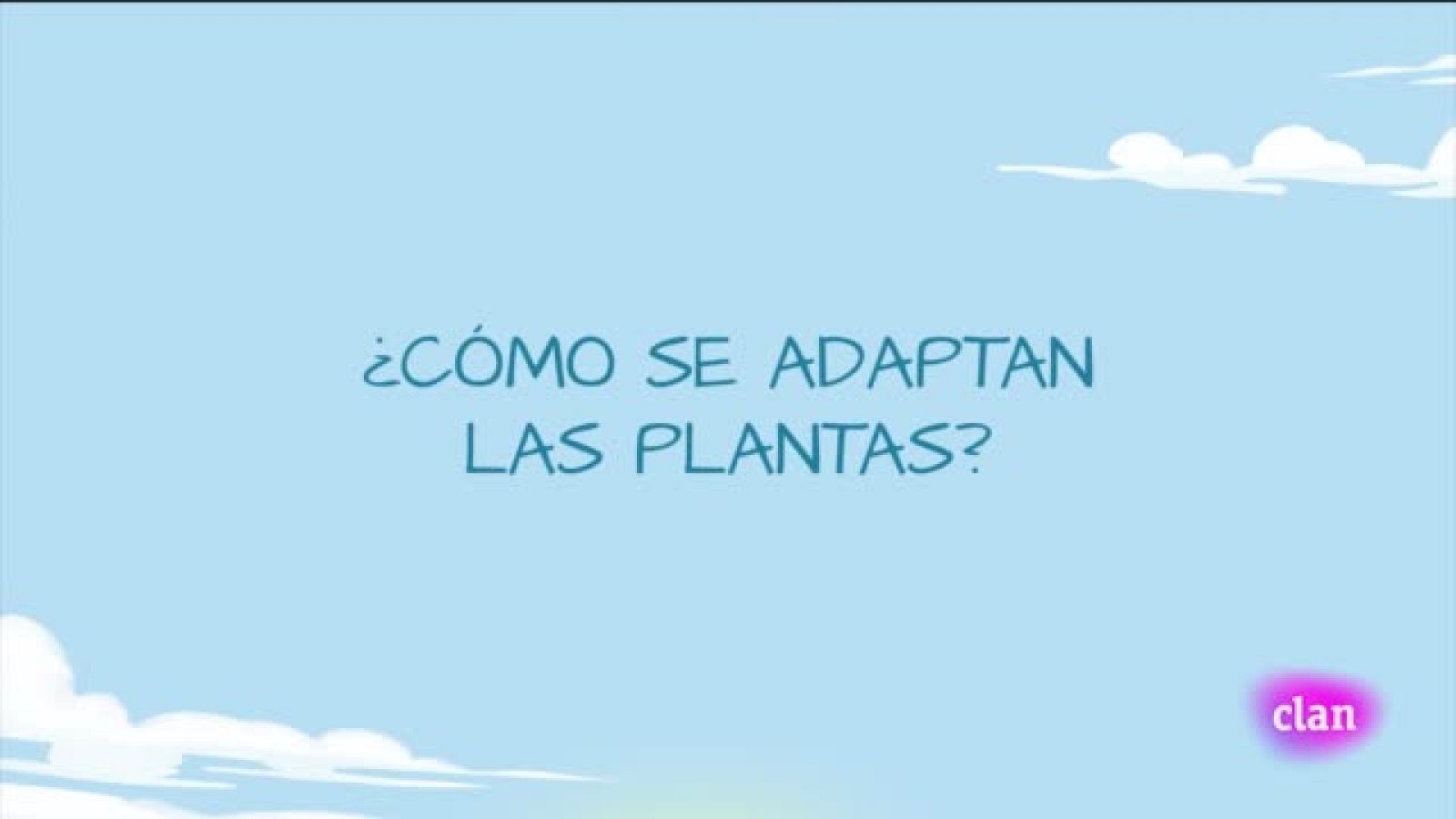 CIENCIA NATURALES - Cómo se adaptan las plantas