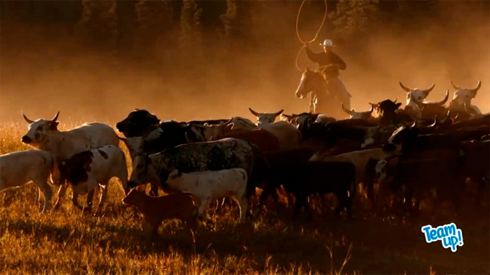 IDIOMAS - Cowboys and Ranches - EduClan 6 a 8 a��os | Ver