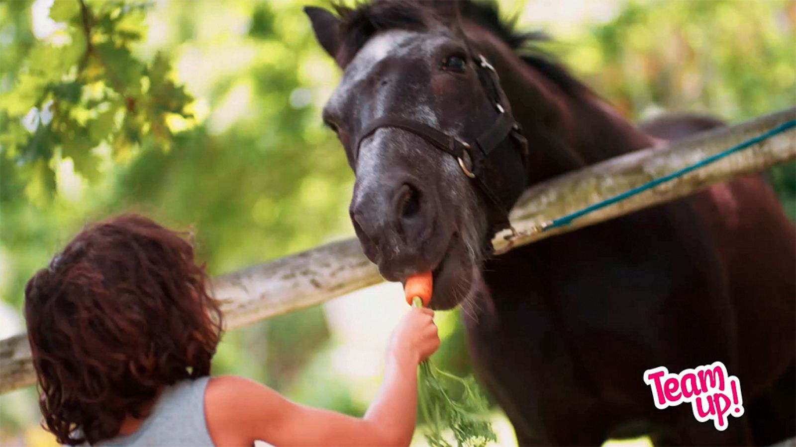 IDIOMAS - Farms - EduClan 6 a 8 años | Ver