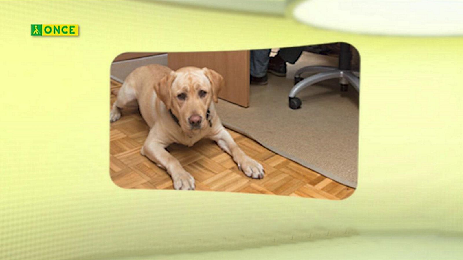 ONCE - 19/03/20 - ver ahora