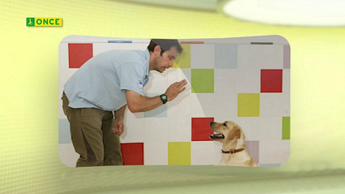 Sorteos ONCE - ONCE - 21/03/20