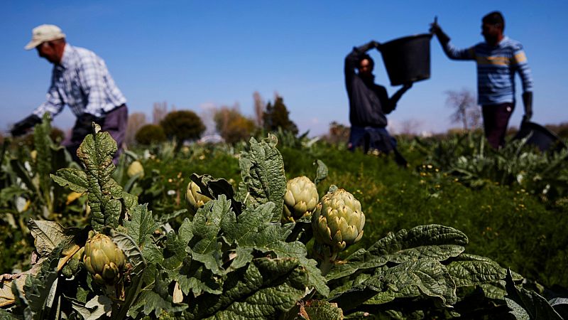La agricultura, un sector estratégico que no cesa para garantizar el abastecimiento de alimentos