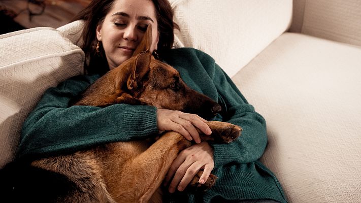 Telediario 1 - Las mascotas también se ven alteradas por la cuarentena