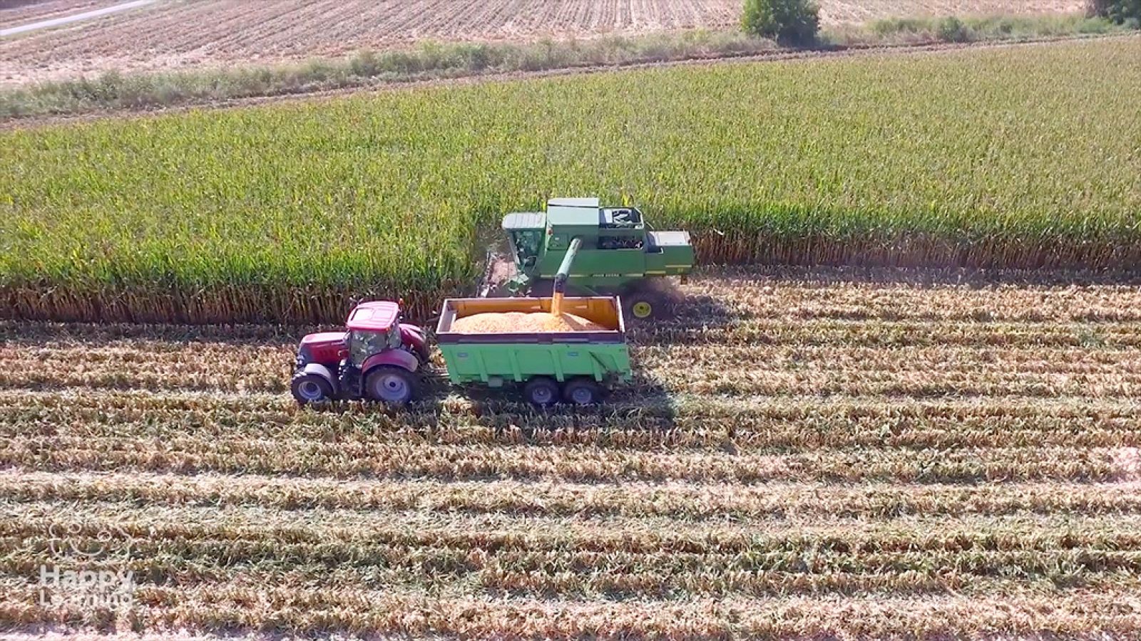 CIENCIAS NATURALES - El sector primario - EduClan 9 a 10 años | Ver