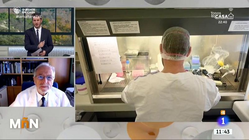 Luis Enjuanes, investigador del CSIC: "No se puede echar la culpa a al gobierno español, francés o italiano"