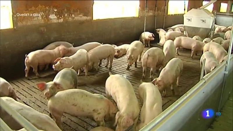 L'Informatiu - 24/03/20202