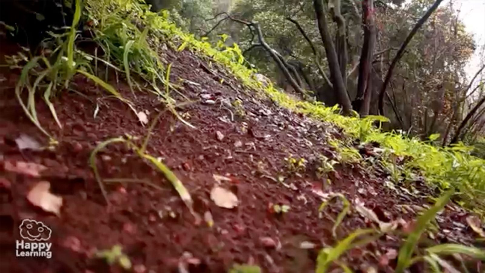 CIENCIAS NATURALES - El Suelo - EduClan 9 a 10 años | Ver