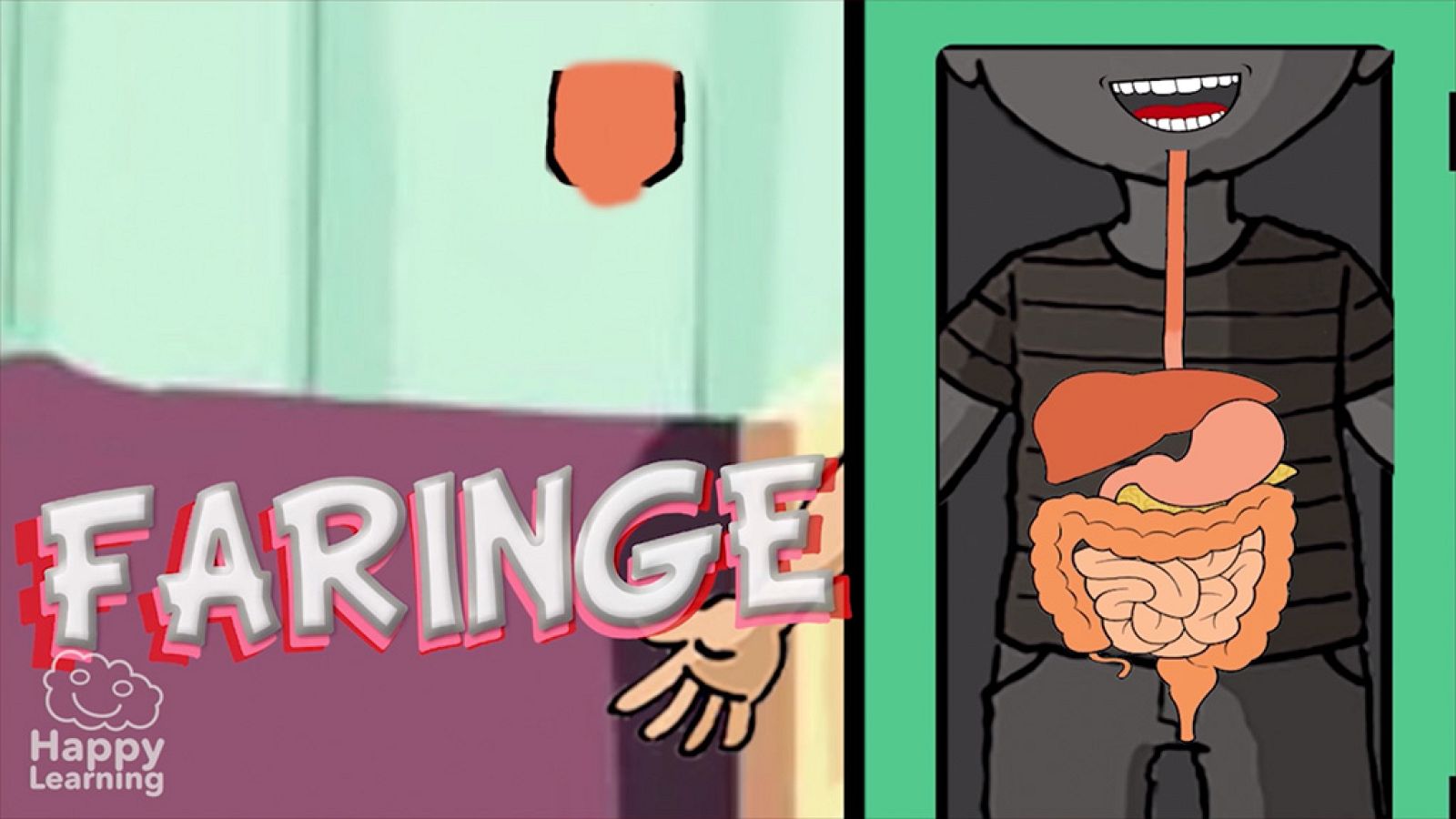 CIENCIAS NATURALES - El aparato digestivo - EduClan 9 a 10 años | Ver