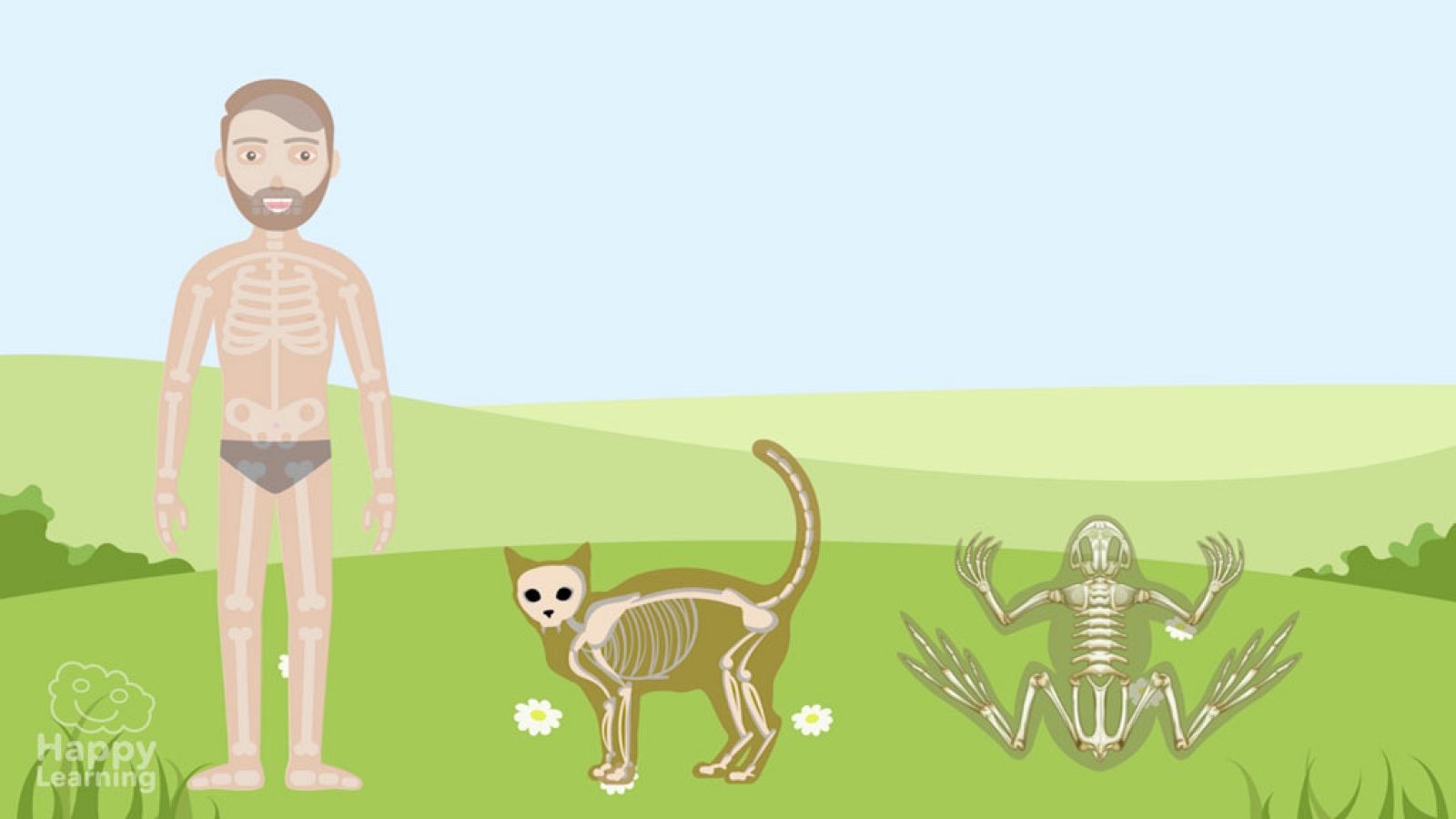 CIENCIAS NATURALES - El aparato locomotor - EduClan 9 a 10 años | Ver