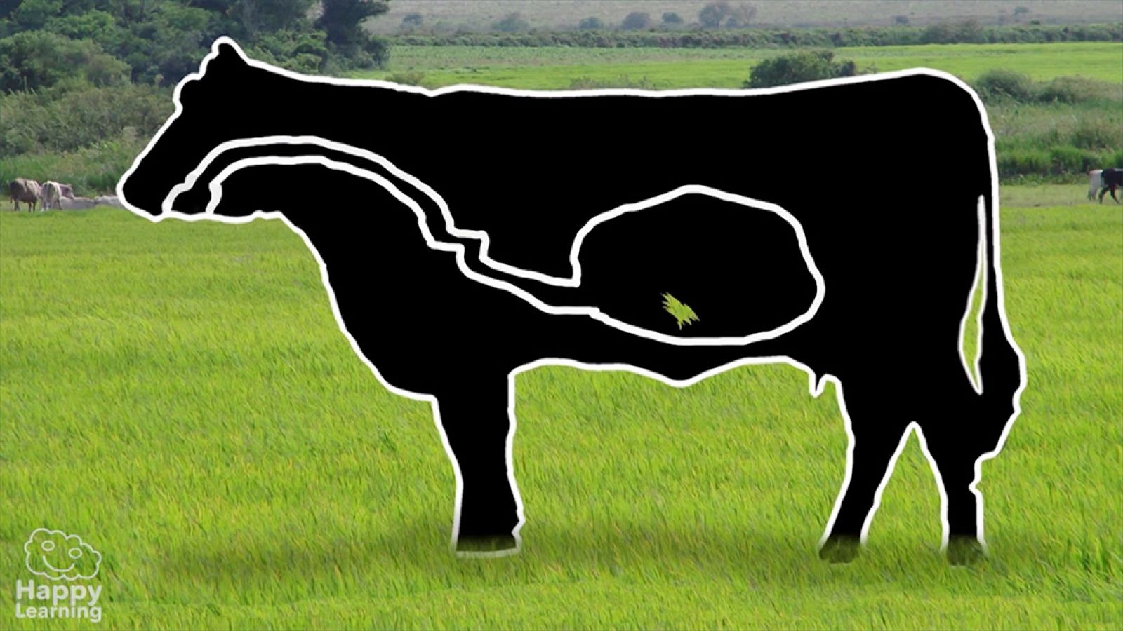 CIENCIAS NATURALES - La Funciones vitales de los seres vivos - EduClan 9 a 10 años | Ver