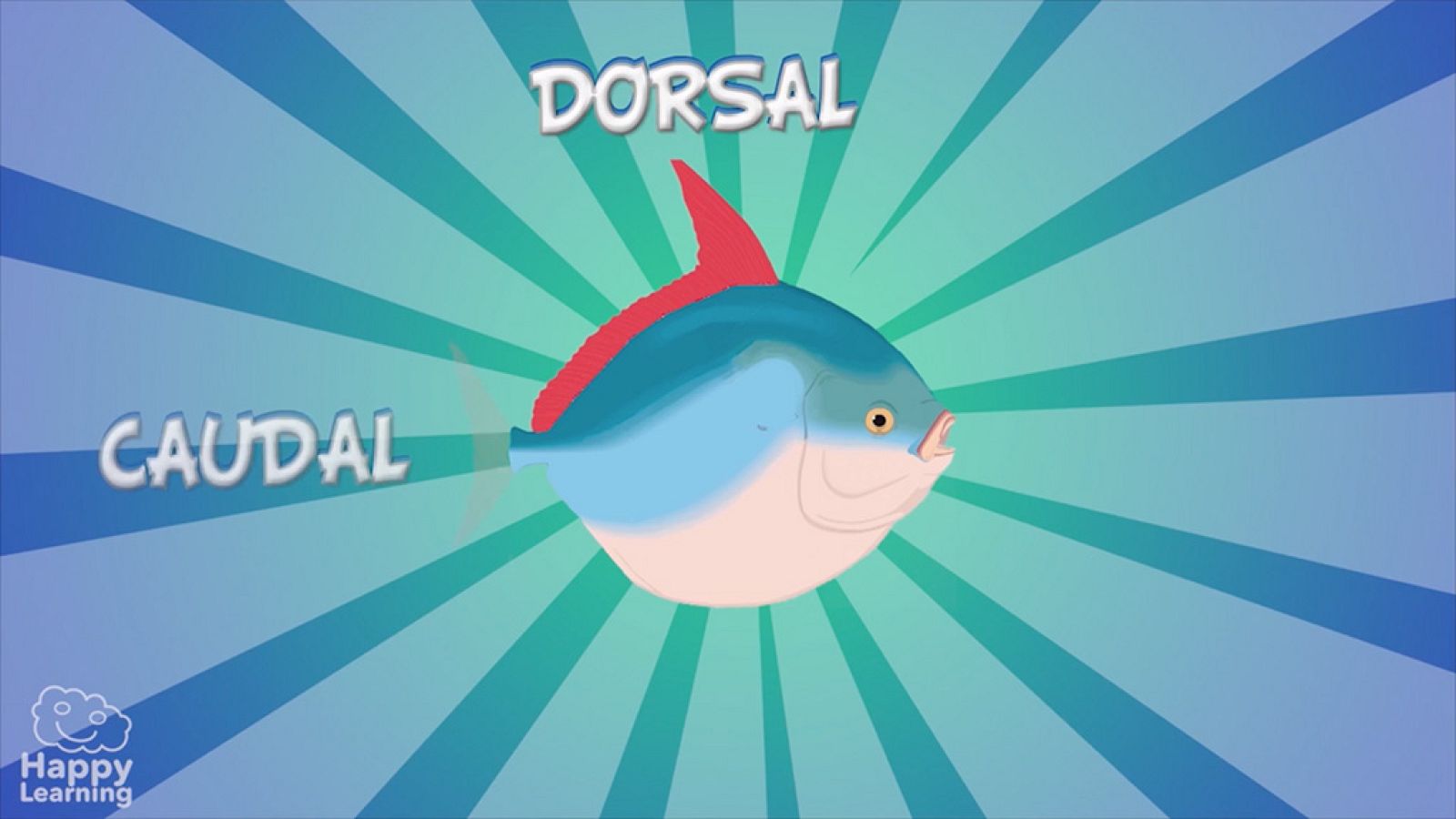 CIENCIAS NATURALES - Los peces - EduClan 9 a 10 años | Ver